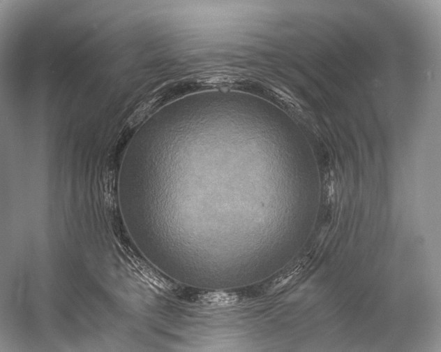 X0000058800421200510171352