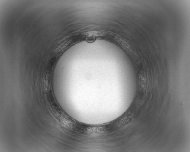 X0000058800422200510171352