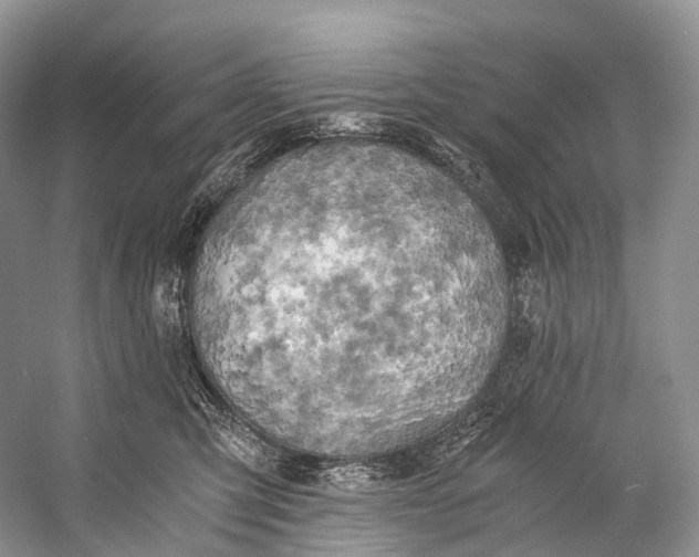 X0000058800423200510171352