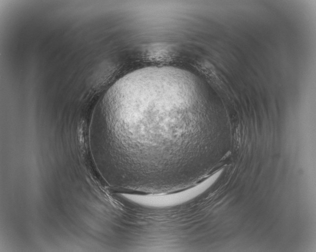 X0000058800424200510171352