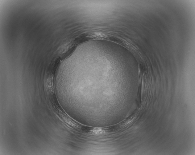 X0000058800425200510171352