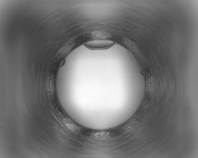 X0000058800426200510171352