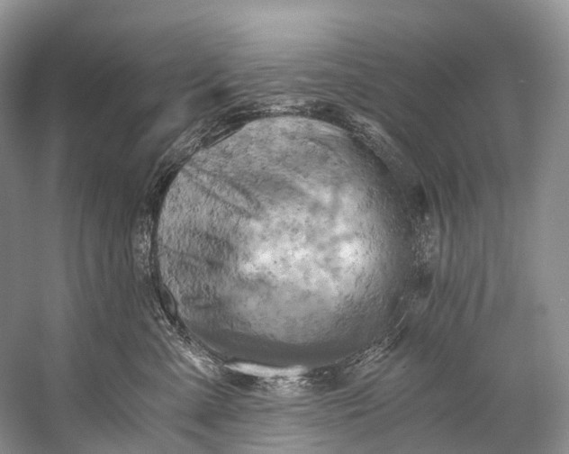 X0000058800427200510171352