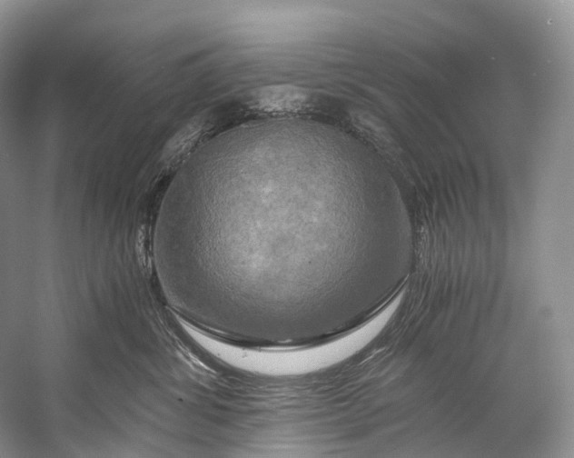 X0000058800428200510171352