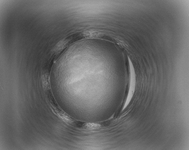 X0000058800429200510171352