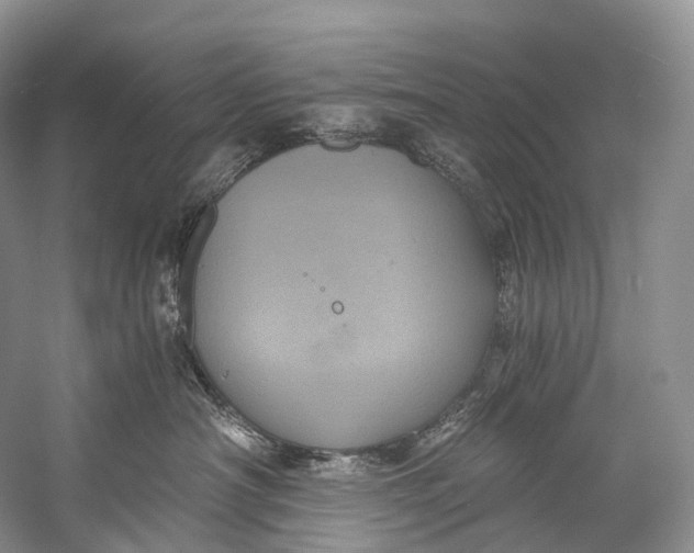 X0000058800430200510171352