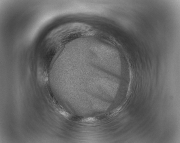 X0000058800431200510171352