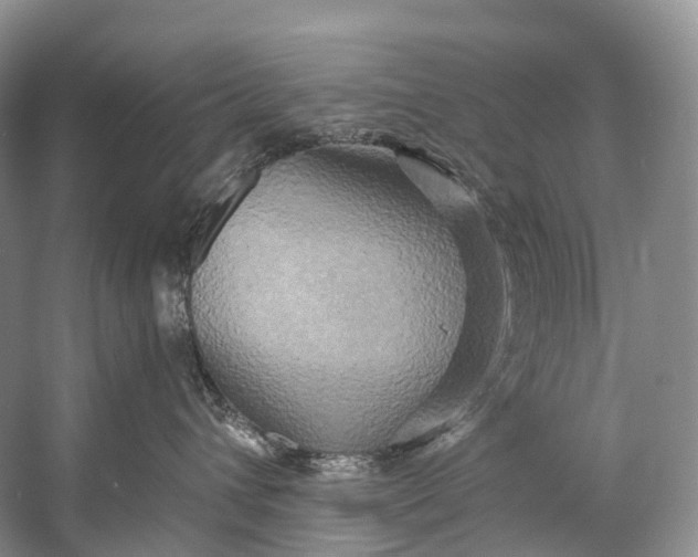 X0000058800432200510171352