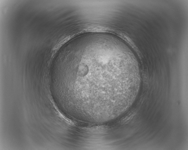 X0000058800433200510171351