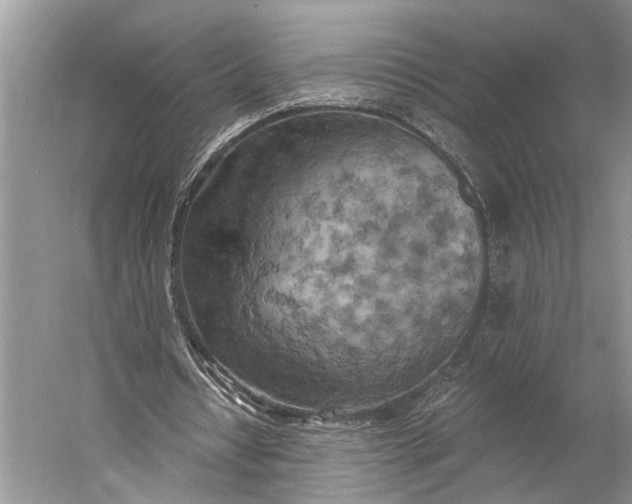 X0000058800434200510171351