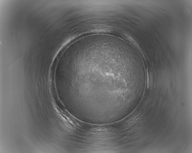 X0000058800435200510171351