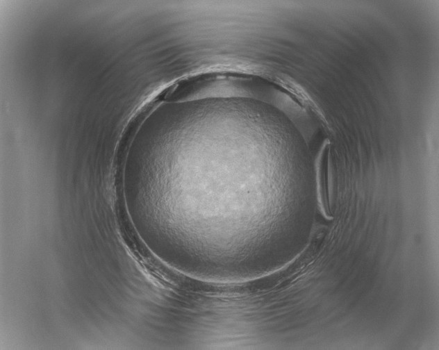 X0000058800436200510171351