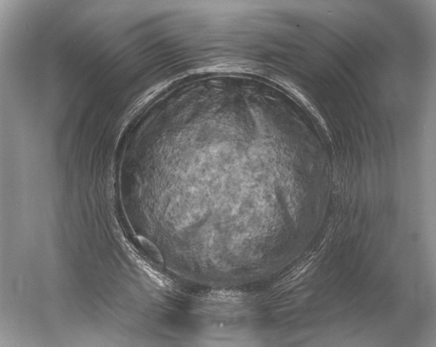 X0000058800437200510171351