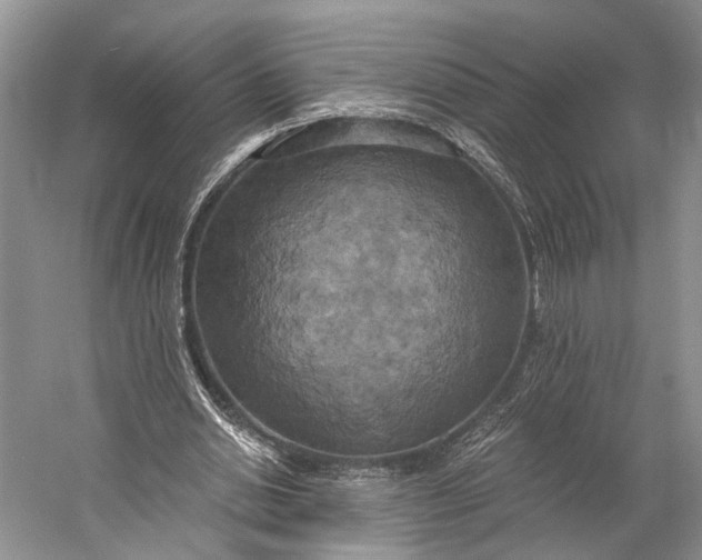 X0000058800438200510171351