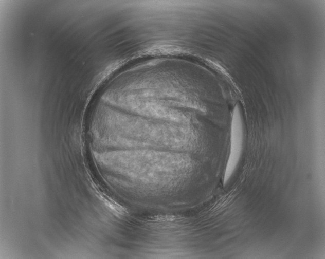 X0000058800439200510171351