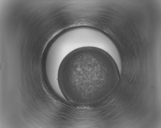 X0000058800440200510171351