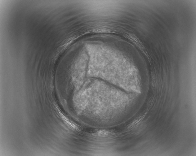 X0000058800441200510171351