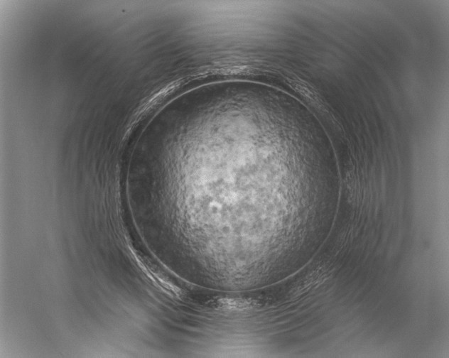 X0000058800442200510171351