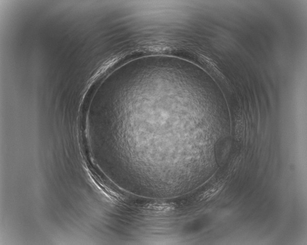 X0000058800443200510171351