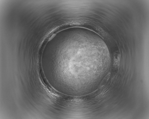 X0000058800444200510171351