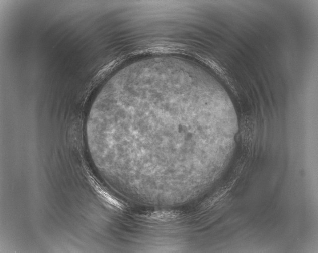 X0000058800445200510171351