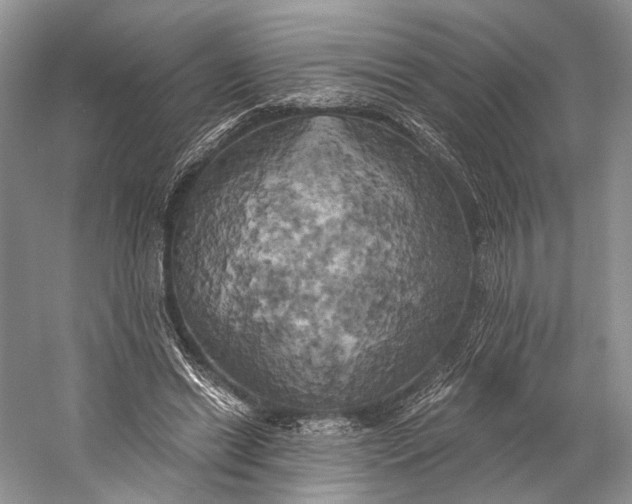 X0000058800446200510171351