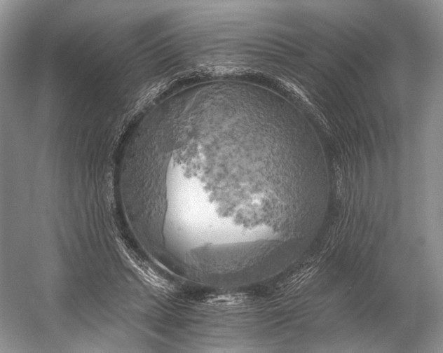 X0000058800447200510171351