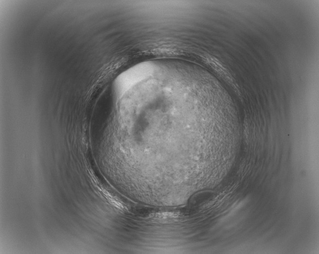 X0000058800449200510171351