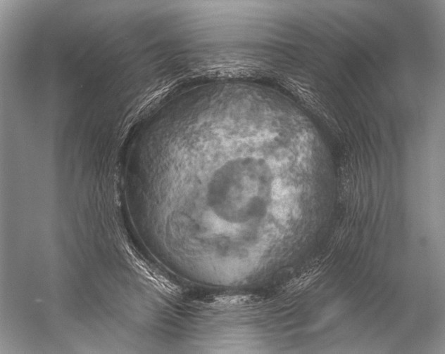 X0000058800450200510171351