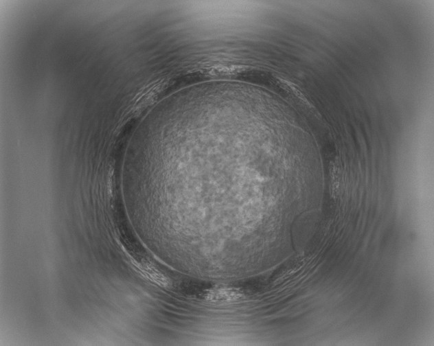 X0000058800451200510171351