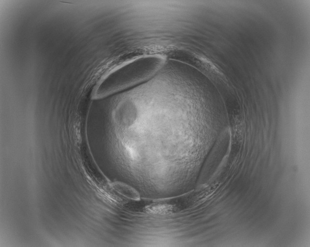 X0000058800452200510171351