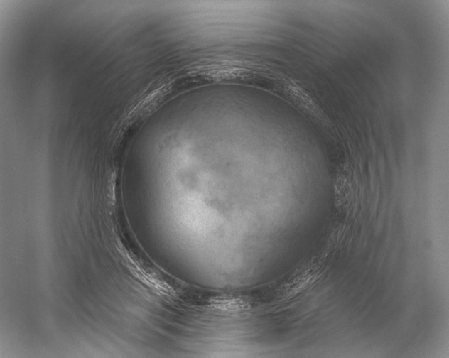 X0000058800454200510171351