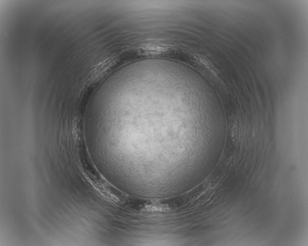 X0000058800455200510171351