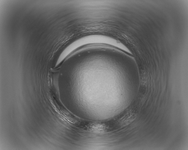 X0000058800456200510171351