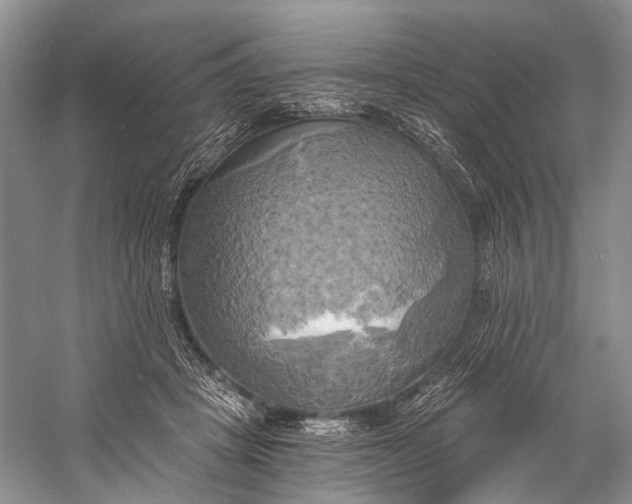 X0000058800457200510171351