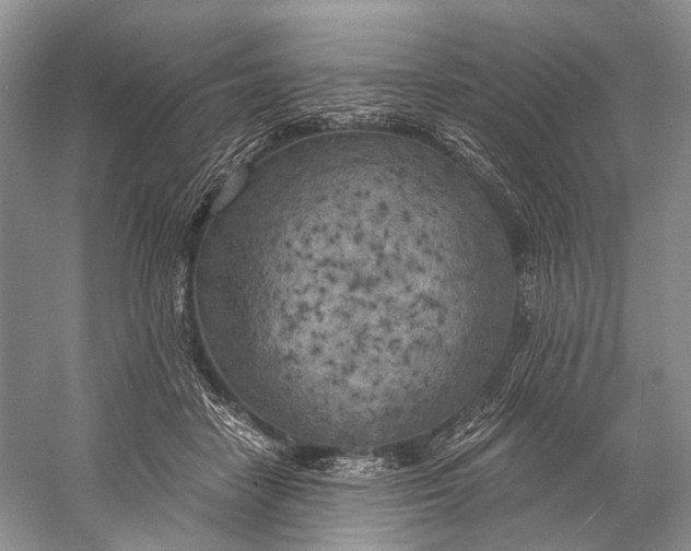 X0000058800458200510171351