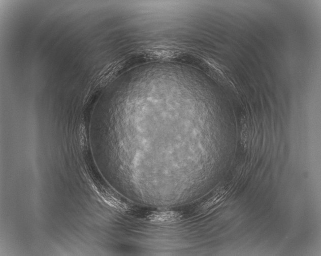 X0000058800459200510171351