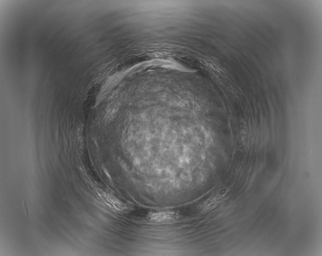 X0000058800461200510171351