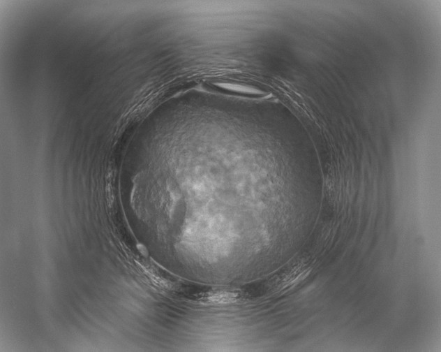 X0000058800462200510171351