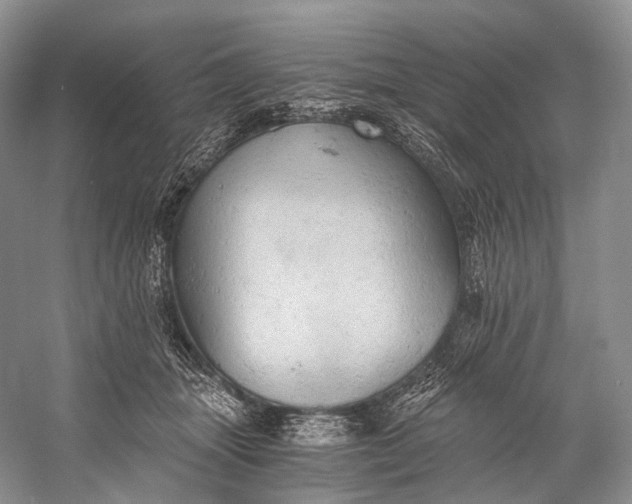 X0000058800463200510171351