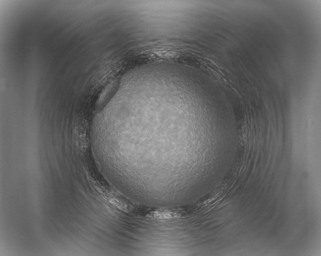 X0000058800464200510171351