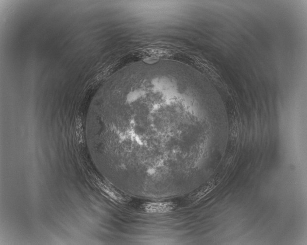 X0000058800465200510171351