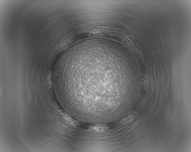 X0000058800466200510171351