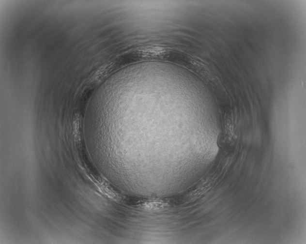 X0000058800468200510171351