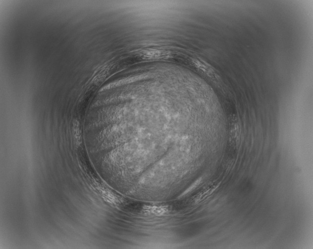 X0000058800469200510171352