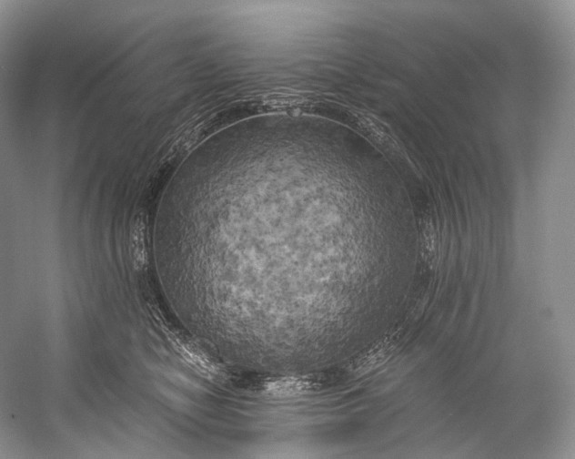 X0000058800470200510171352