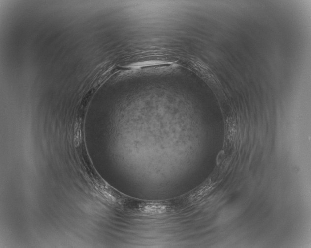 X0000058800471200510171352