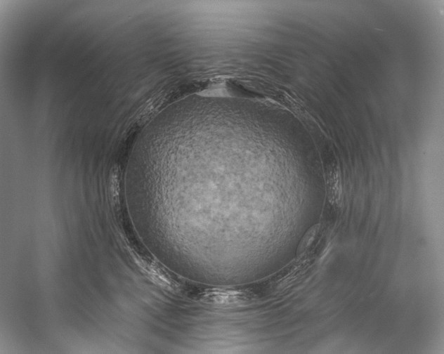 X0000058800472200510171352