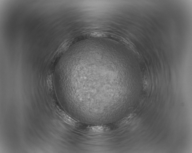 X0000058800473200510171352