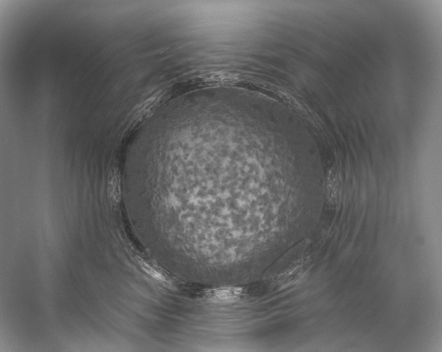 X0000058800474200510171352